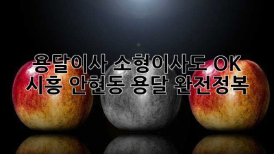 용달이사🚚? 소형이사도 OK! 시흥 안현동 용달 완전정복😎